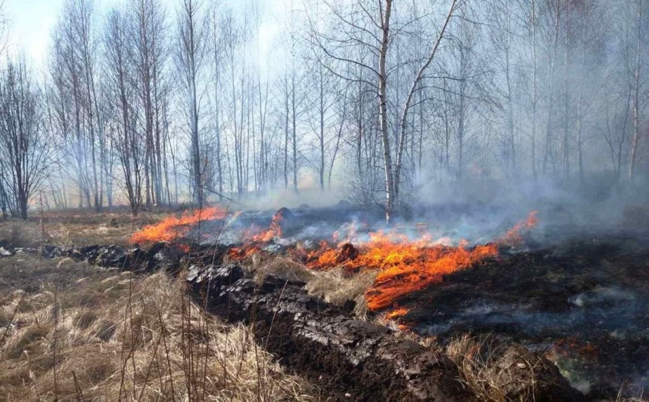 Пожароопасный сезон картинки